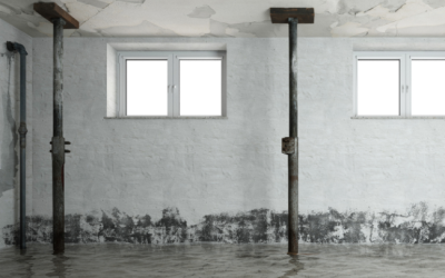 Helping your Council build resilience and reduce property damage